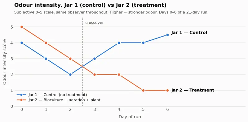 Odour scores for both jars, Days 0--6.