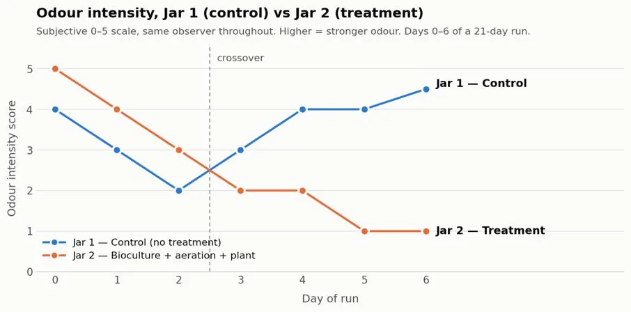 Odour intensity, Jar 1 control versus Jar 2 treatment