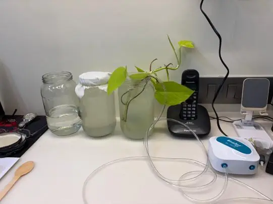 Jars of water on a shelf