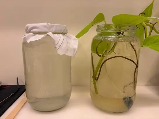 Control jar and treated jar