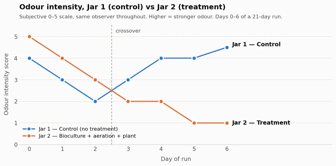 Odour scores for both jars, Days 0 to 6