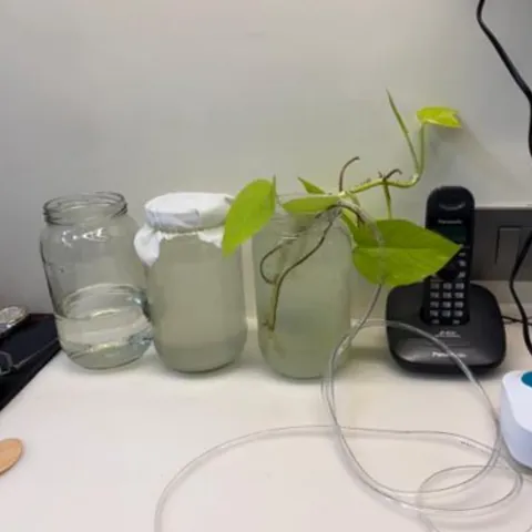 Water jars on a desk